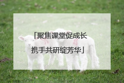 聚焦课堂促成长 携手共研绽芳华