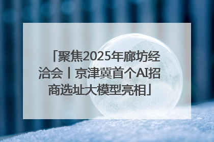 聚焦2025年廊坊经洽会丨京津冀首个AI招商选址大模型亮相