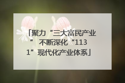 聚力“三大富民产业” 不断深化“1131”现代化产业体系