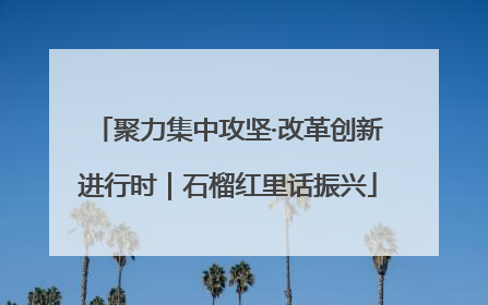 聚力集中攻坚·改革创新进行时｜石榴红里话振兴
