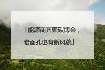 能源商齐聚碳博会，老面孔也有新风貌