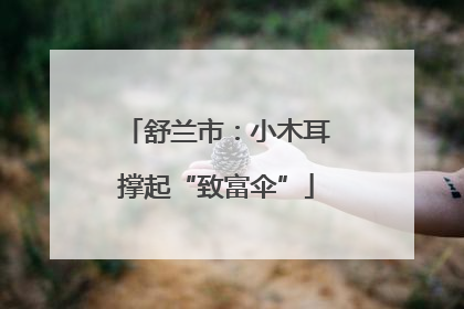 舒兰市：小木耳撑起“致富伞”