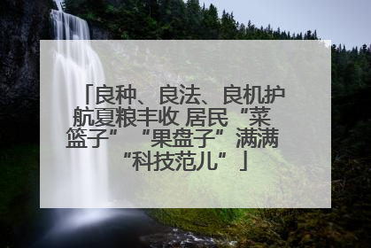 良种、良法、良机护航夏粮丰收 居民“菜篮子”“果盘子”满满“科技范儿”