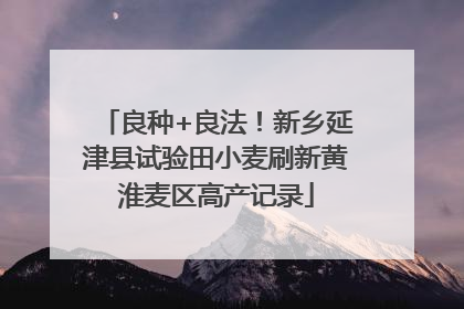 良种+良法！新乡延津县试验田小麦刷新黄淮麦区高产记录