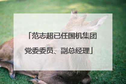 范志超已任国机集团党委委员、副总经理