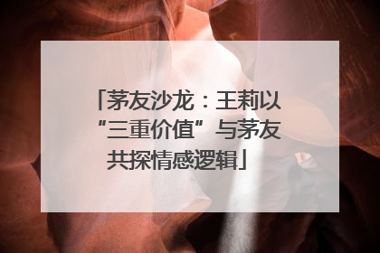 茅友沙龙：王莉以“三重价值”与茅友共探情感逻辑
