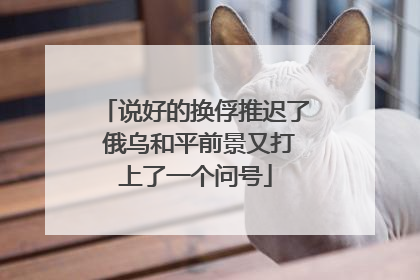说好的换俘推迟了 俄乌和平前景又打上了一个问号