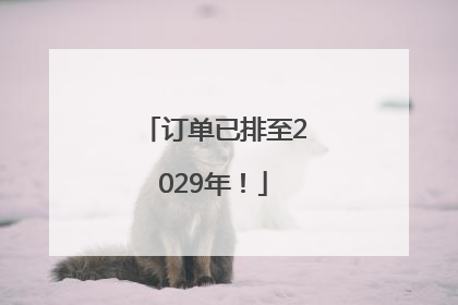 订单已排至2029年！
