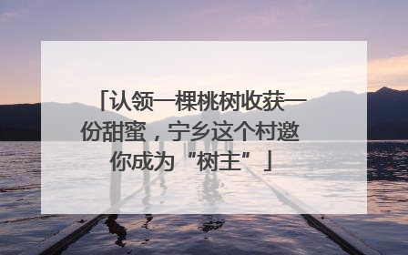 认领一棵桃树收获一份甜蜜，宁乡这个村邀你成为“树主”
