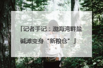 记者手记：渤海湾畔盐碱滩变身“新粮仓”