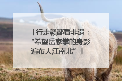 行走赣鄱看非遗：“希望岳家拳的身影遍布大江南北”