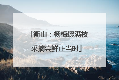 衡山：杨梅缀满枝 采摘尝鲜正当时