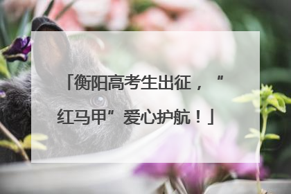 衡阳高考生出征，“红马甲”爱心护航！