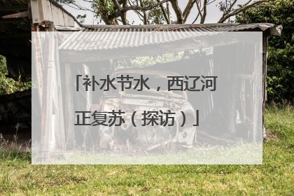 补水节水，西辽河正复苏（探访）