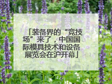 装备界的“竞技场”来了，中国国际模具技术和设备展览会在沪开幕