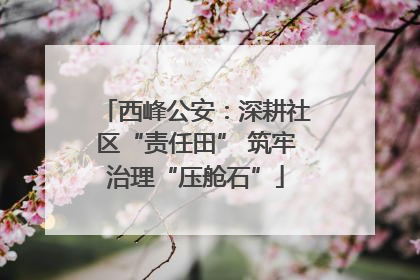 西峰公安：深耕社区“责任田” 筑牢治理“压舱石”