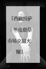 西藏拉萨：冬虫夏草市场交易火爆