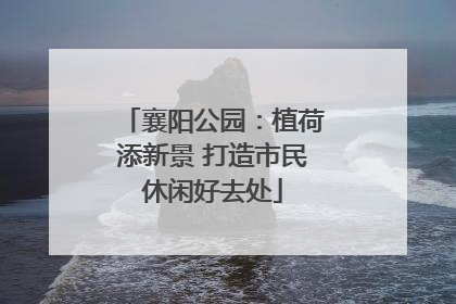 襄阳公园：植荷添新景 打造市民休闲好去处