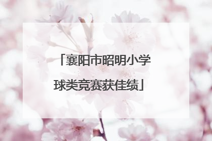 襄阳市昭明小学球类竞赛获佳绩