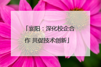 襄阳：深化校企合作 共促技术创新