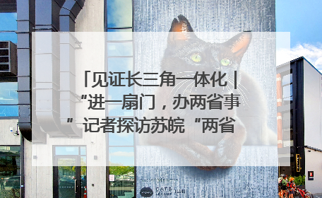 见证长三角一体化｜“进一扇门，办两省事”记者探访苏皖“两省一街”警务室