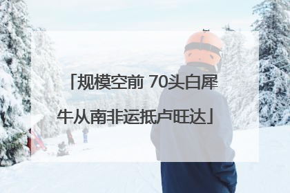 规模空前 70头白犀牛从南非运抵卢旺达