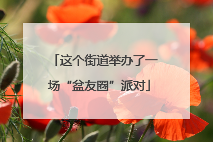 这个街道举办了一场“盆友圈”派对