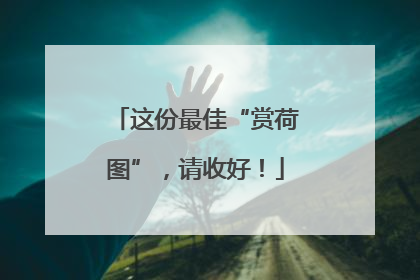 这份最佳“赏荷图”，请收好！