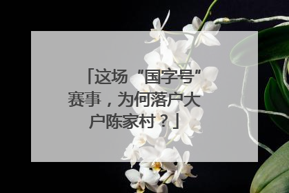 这场“国字号”赛事，为何落户大户陈家村？