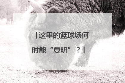 这里的篮球场何时能“复明”？