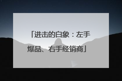 进击的白象：左手爆品、右手经销商