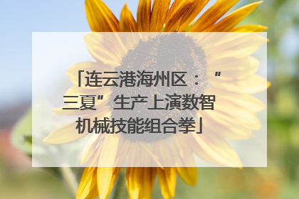连云港海州区：“三夏”生产上演数智机械技能组合拳