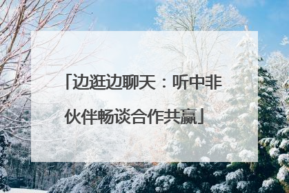 边逛边聊天：听中非伙伴畅谈合作共赢