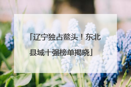 辽宁独占鳌头！东北县域十强榜单揭晓