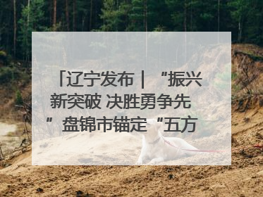 辽宁发布｜“振兴新突破 决胜勇争先”盘锦市锚定“五方面工作”力争全年地区生产总值增长5.5%左右