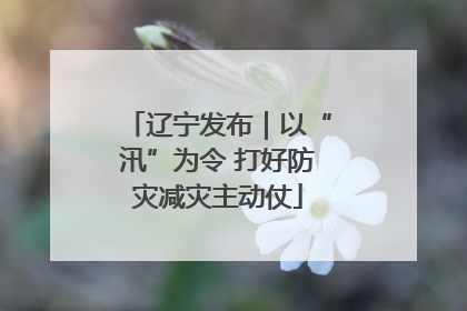 辽宁发布｜以“汛”为令 打好防灾减灾主动仗