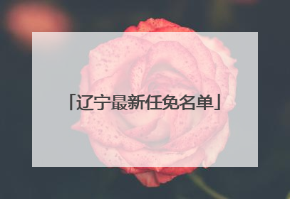 辽宁最新任免名单
