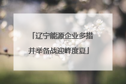 辽宁能源企业多措并举备战迎峰度夏