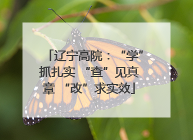 辽宁高院：“学”抓扎实 “查”见真章 “改”求实效