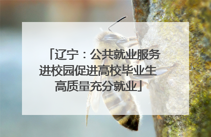 辽宁：公共就业服务进校园促进高校毕业生高质量充分就业
