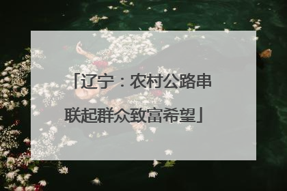辽宁：农村公路串联起群众致富希望