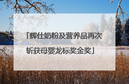 辉仕奶粉及营养品再次斩获母婴龙标奖金奖