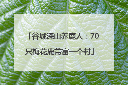 谷城深山养鹿人：70只梅花鹿带富一个村