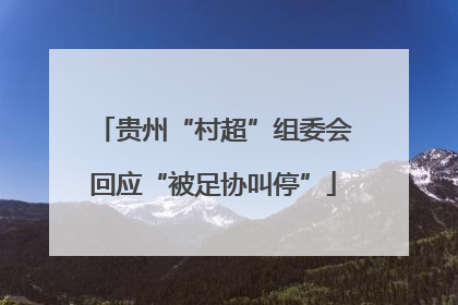 贵州“村超”组委会回应“被足协叫停”