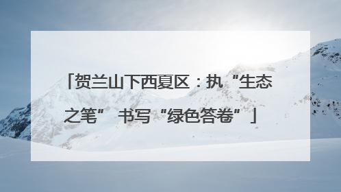贺兰山下西夏区：执“生态之笔” 书写“绿色答卷”
