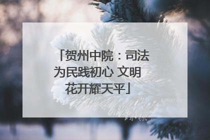 贺州中院：司法为民践初心 文明花开耀天平