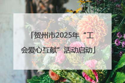 贺州市2025年“工会爱心互献”活动启动