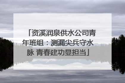 资溪润泉供水公司青年班组：测漏尖兵守水脉 青春建功显担当