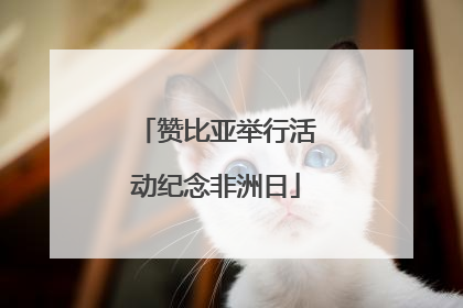 赞比亚举行活动纪念非洲日