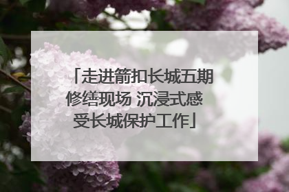 走进箭扣长城五期修缮现场 沉浸式感受长城保护工作